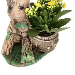 Groot Saksı Kalanchoe Bitkisi - Tek Ebat